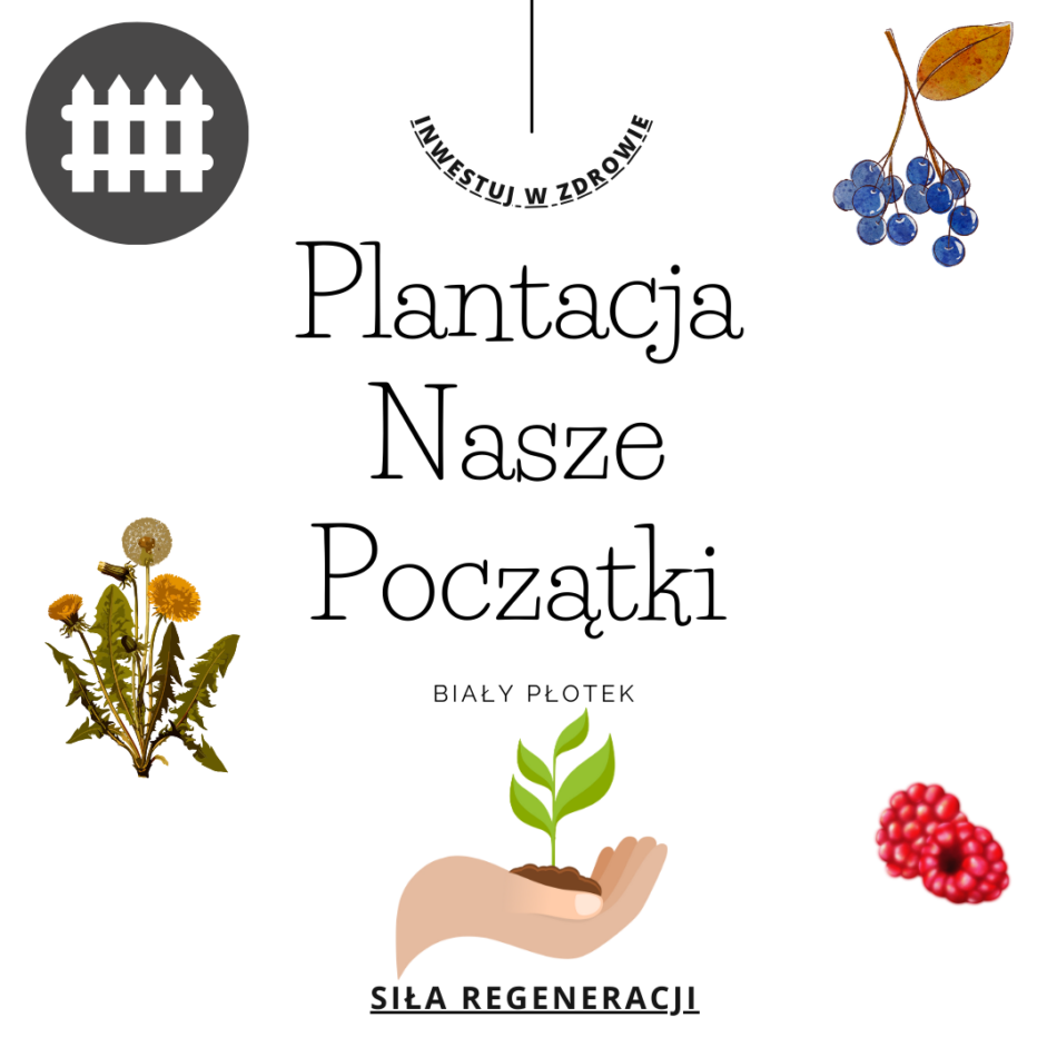 Agroturystyka z plantacją