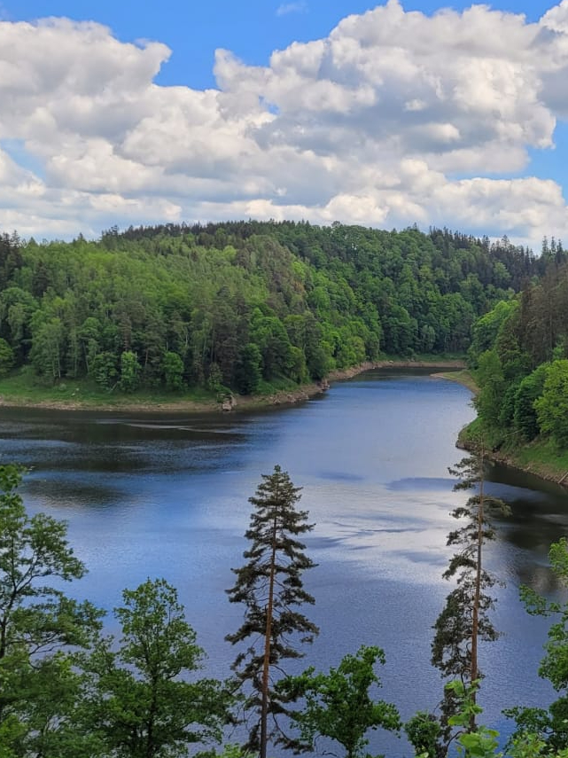 b31f9707-4777-4182-b1c7-7e16473ed949-fotor-20250204143422