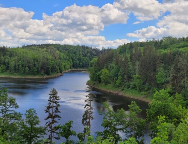 b31f9707-4777-4182-b1c7-7e16473ed949-fotor-20240130171115